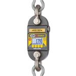 Dillon AWT05-506307 EDXtreme RED Dynamometer with two shackles & backlight &  radio-ready 100000 x 20 lbs