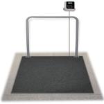 Rice Lake SD-1150-WP In Ground Dialysis Wheelchair Scale, 1000 x 0.2 lb
