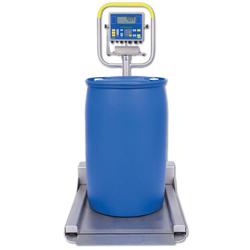 Fairbanks 97670 Aegis Transport Scale Mild Steel with FB2250SS 1000 x 0.1 lb