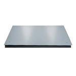Minebea CAPXS4U-100GG-I Explosion Proof Platform 24 x 24in, 150 x 0.005 lb 