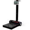 Rice Lake 169708-482-Plus  Deckhand Rough-n-Ready Portable Bench Scale Legal For Trade 1000 x 0.5 lb