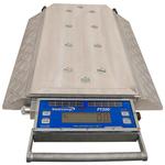 Intercomp 183015-RFX PT300DW 1 Single Wireless 22 in Aluminum Filling Scale 30000 x 50 lb