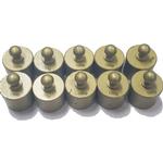 Ohaus General Purpose Brass (Slightly Used) Individual Screw Knob Calibration Weight - 100g (10 ct)