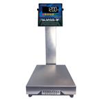 Fairbanks SB10100 SilverBack 12 x 12 in  Bench Scale  25 x 0.005 lb  Legal for Trade 25 x 0.01 lb