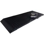 LP Scale LP7628D-3065-1000 Mild Steel 30 x 65 inch LCD Live Stock Scale 1000 x 0.5 lb