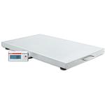 Detecto VET550 Veterinary Scale, 550 lb x 0.2 lb