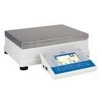 RADWAG C32.25.PM High Capacity Precision Balance 25 kg x 0.1 g