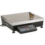 Pennsylvania Scale 7600-100HR Legal for Trade 12 x 14 in Bench Scale 100 X 0.005 lb