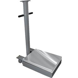 CAS TR2L-500C Transit 2 Mild Steel 24 x 30 Platform 500 x 0.1 lb (No Indicator)