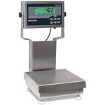 Rice Lake CW-90B-482 201463 Legal for Trade 10 x 10 inch Bench Scale with 12 in Column 5 x 0.001 lb
