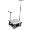 Rice Lake 184463 Class 6 ASTM Clean Room Weight Cart 125 kg