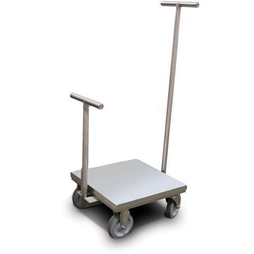 Rice Lake 184465 Class 6 ASTM Clean Room Weight Cart 175 kg