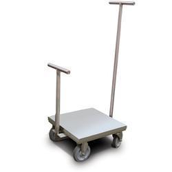 Rice Lake 184464WITHTC with Accredited Certificate Class 6 ASTM Clean Room Weight Cart 150 kg