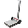 Rice Lake 41297 Deckhand DH1000SS Legal for Trade Stainless Steel 1000 lb - Base Only