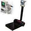 Rice Lake 211285-882IS Deckhand Legal For Trade Portable Bench Scale with  882IS Indicator  500 x 0.2 lb