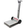 Rice Lake 41297-380 Stainless Steel Deckhand Legal For Trade Portable Bench Scale with 380 Synergy Indicator 1000 x 0.5 lb