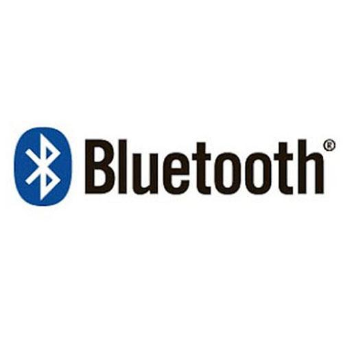 CAS PCB2  Bluetooth Module Field Retrofit Kit for Caston III Plus