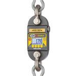 Dillon AWT05-101153 EDXtreme RED Dynamometer USB with two shackles & backlight 2500 x 0.5 lbs
