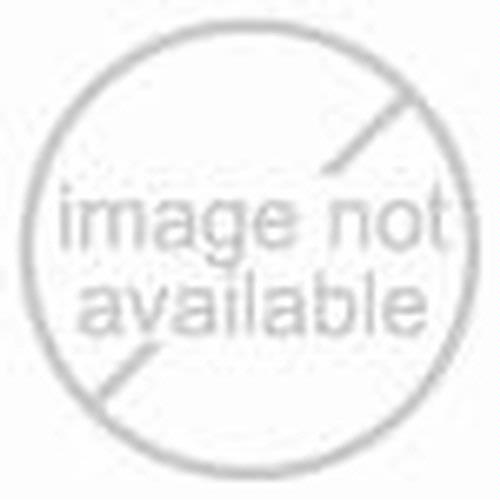 American Weigh 51016-16 Calibration Weight, 1000 g (2 x  500 g)