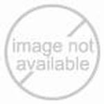 Sartorius WT200GCLS2 ASTM Class 2 Calibration Weight, 200 g
