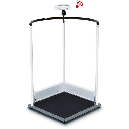 Handrail Scales